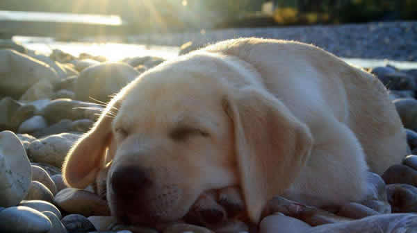 1631681214530422.jpg 23.jpg