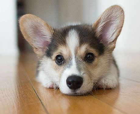 1631681675558087.jpg 1-1Q212163120400.jpg