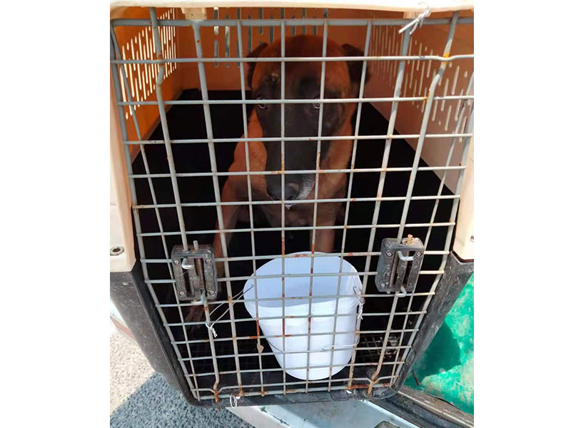 空運(yùn)公司 空運(yùn)公司